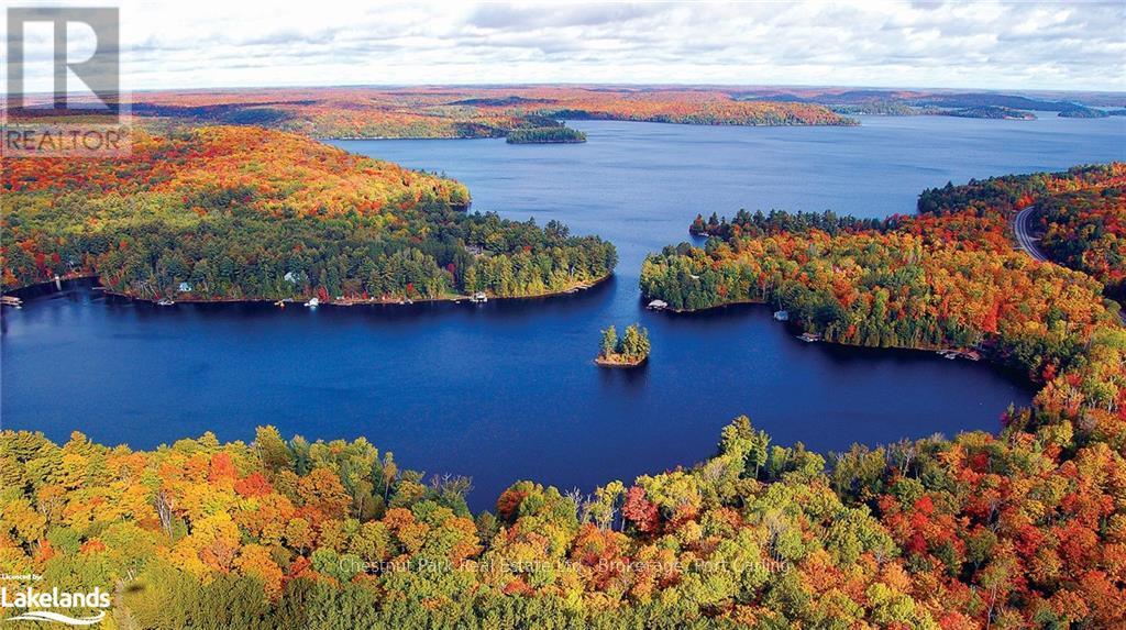 1020 Birch Glen Road, Lake Of Bays, Ontario  P0B 1A0 - Photo 3 - X10894329