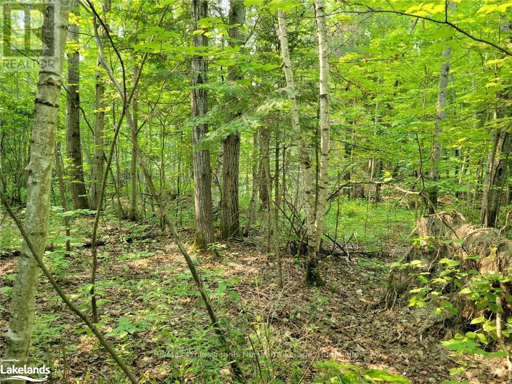 29 - 29 Mount Vernon Trail, Huntsville, Ontario  P1H 1E3 - Photo 3 - X10895209