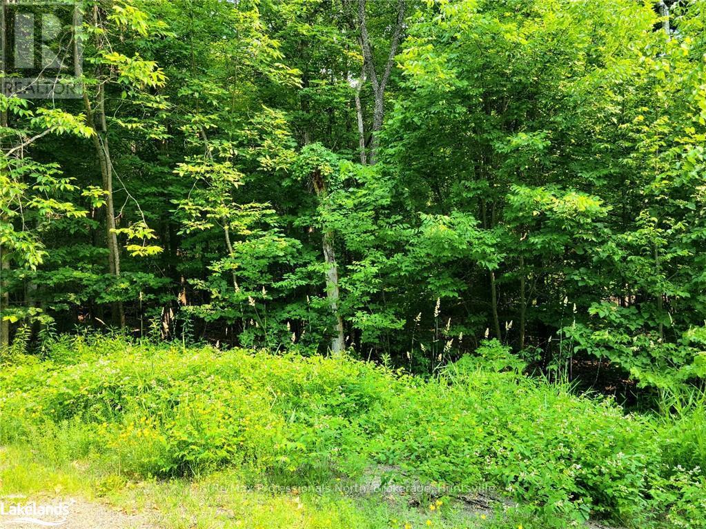 22 - 32 Mount Vernon Trail, Huntsville, Ontario  P1H 1E3 - Photo 2 - X10895220