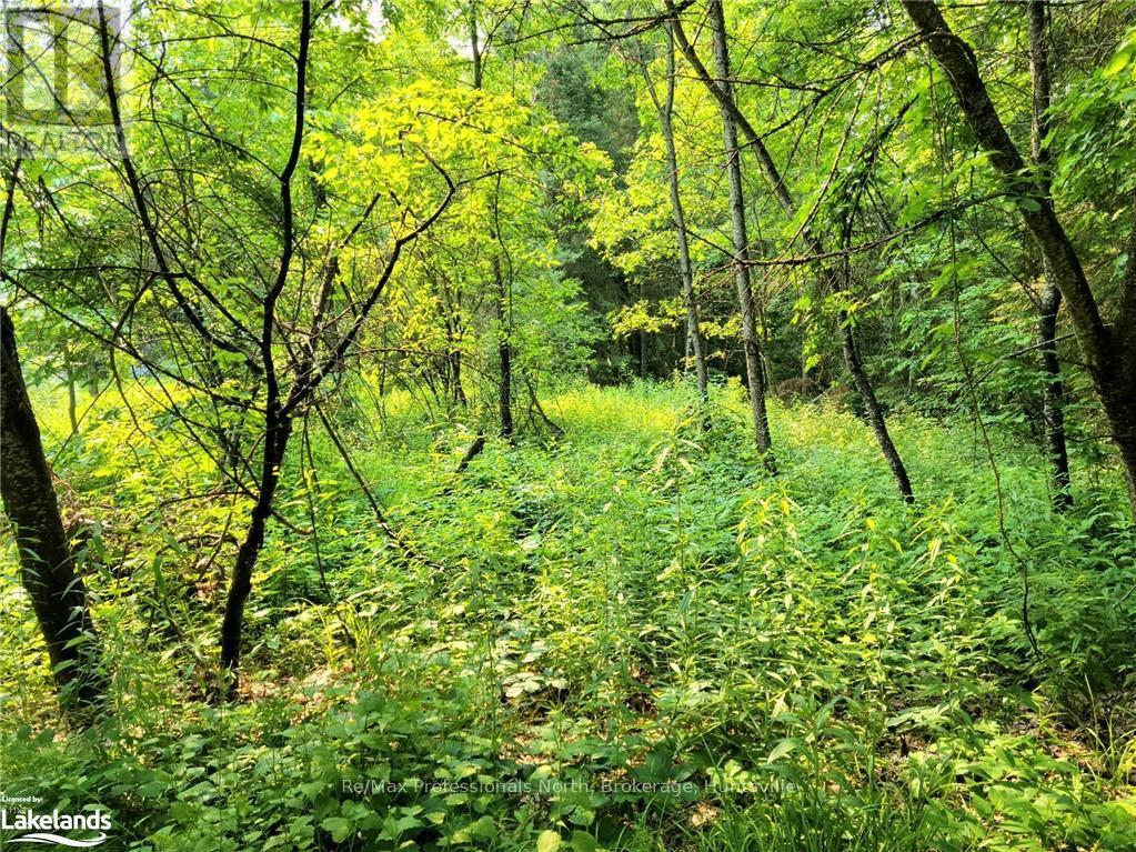 26 - 35 MOUNT VERNON TRAIL, Huntsville, Ontario