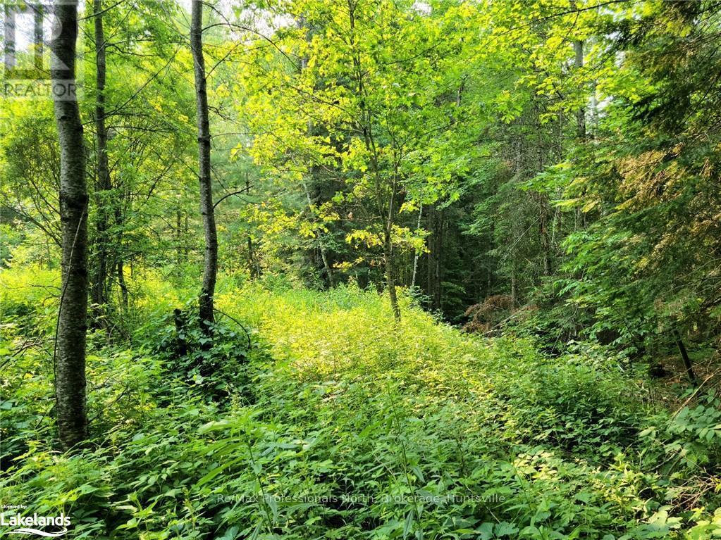 26 - 35 Mount Vernon Trail, Huntsville, Ontario  P1H 1E3 - Photo 2 - X10895212