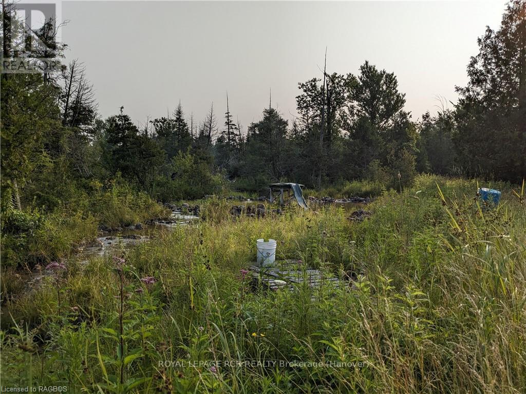 59 3rd, West Grey, Ontario  N0G 1R0 - Photo 10 - X10848726