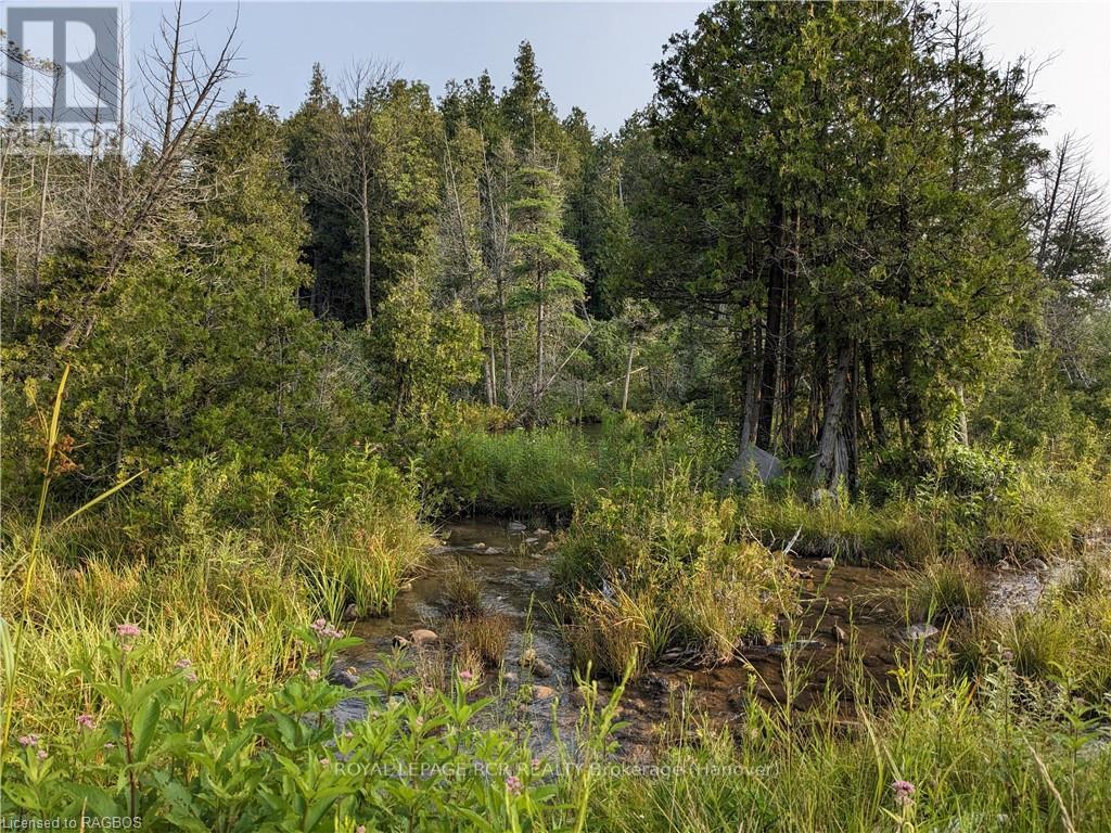 59 3rd, West Grey, Ontario  N0G 1R0 - Photo 12 - X10848726