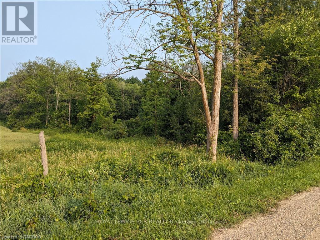59 3rd, West Grey, Ontario  N0G 1R0 - Photo 2 - X10848726