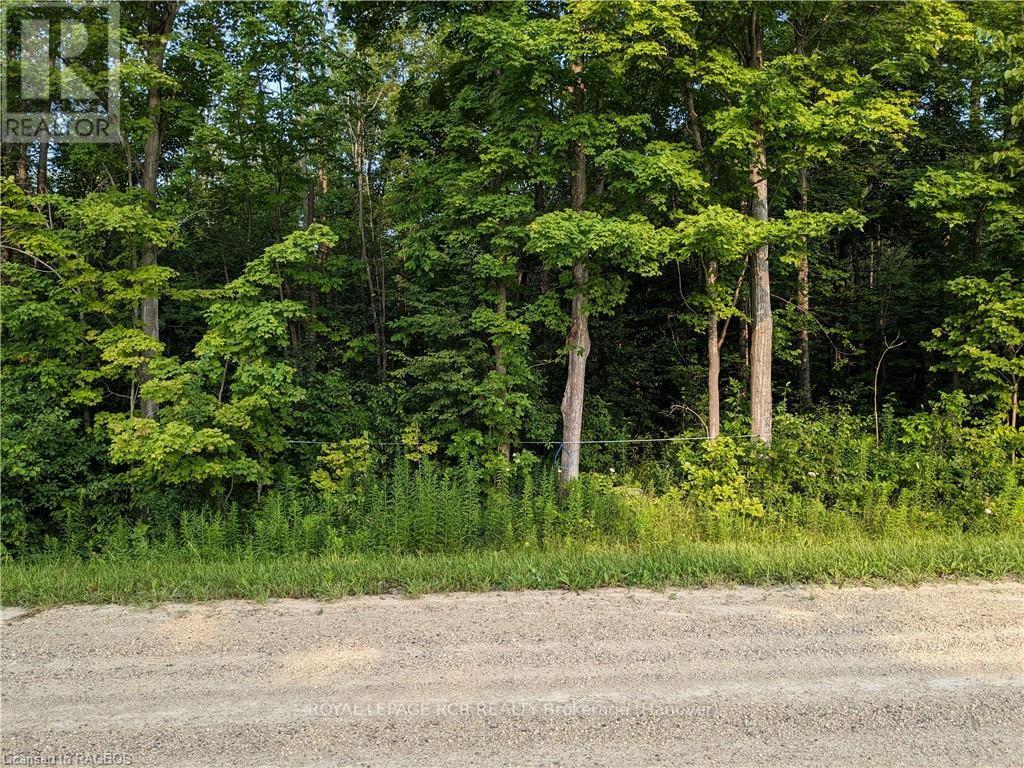59 3rd, West Grey, Ontario  N0G 1R0 - Photo 3 - X10848726