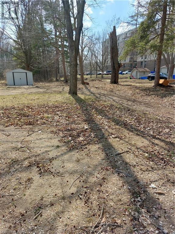 3211-3217 King Street E, Kitchener, Ontario  N2A 1B1 - Photo 2 - 40482632
