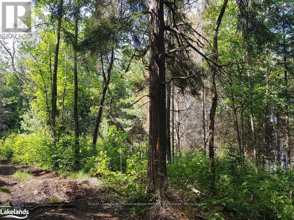 0 Part Lot 27 Concession 1, Mckellar, Ontario  P2A 2W7 - Photo 11 - X10900632