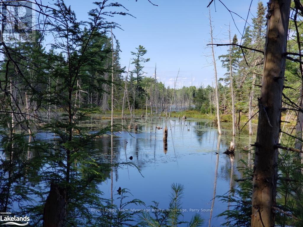 0 Part Lot 27 Concession 1, Mckellar, Ontario  P2A 2W7 - Photo 13 - X10900632