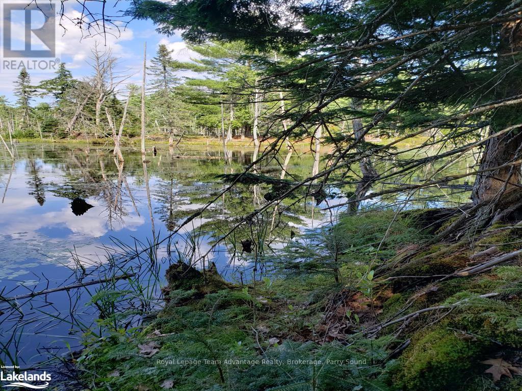 0 Part Lot 27 Concession 1, Mckellar, Ontario  P2A 2W7 - Photo 14 - X10900632