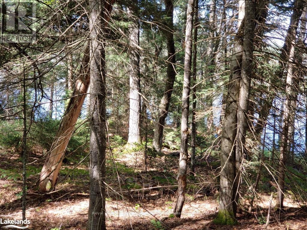 0 Part Lot 27 Concession 1, Mckellar, Ontario  P2A 2W7 - Photo 4 - X10900632