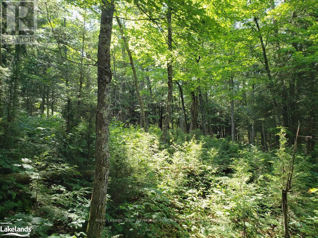 0 Part Lot 27 Concession 1, Mckellar, Ontario  P2A 2W7 - Photo 5 - X10900632
