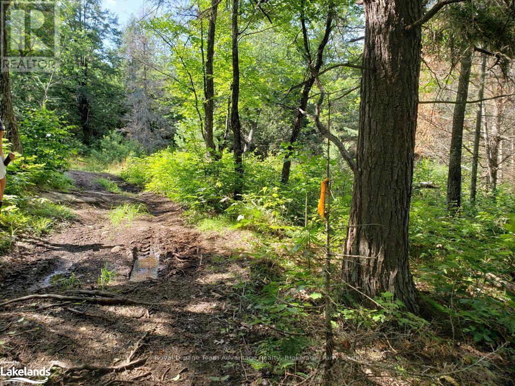 0 Part Lot 27 Concession 1, Mckellar, Ontario  P2A 2W7 - Photo 6 - X10900632