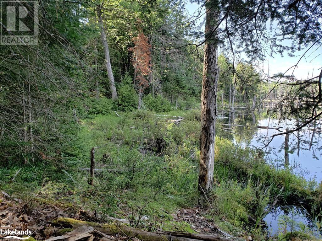 0 Part Lot 27 Concession 1, Mckellar, Ontario  P2A 2W7 - Photo 8 - X10900632