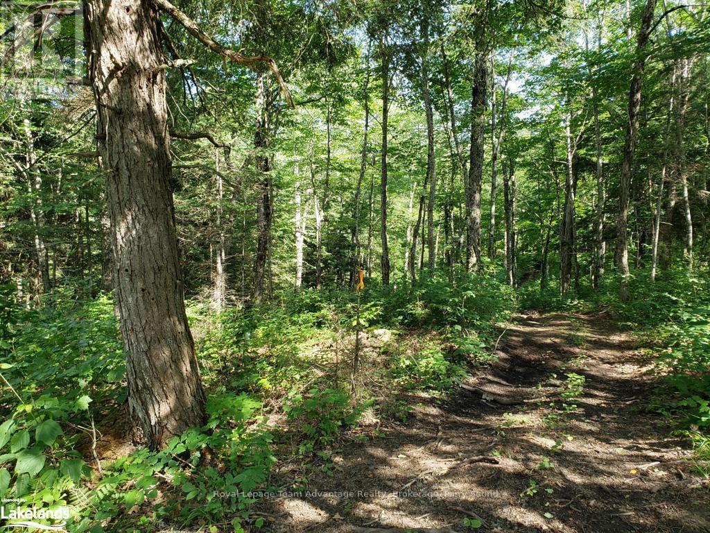 0 Part Lot 27 Concession 1, Mckellar, Ontario  P2A 2W7 - Photo 9 - X10900632