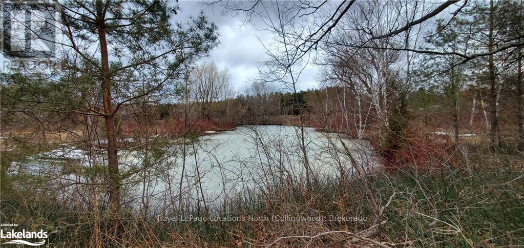 Lot 1-6 36/37 Nottawasaga Side Road, Clearview, Ontario  L9Y 3Z1 - Photo 7 - S10894577