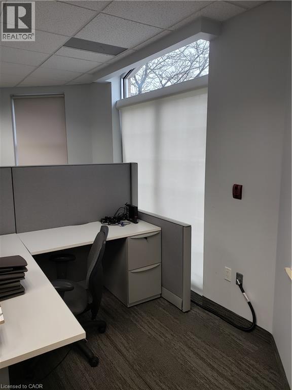 209 Frederick Street Unit# 3b, Kitchener, Ontario  N2H 2M7 - Photo 7 - 40549132