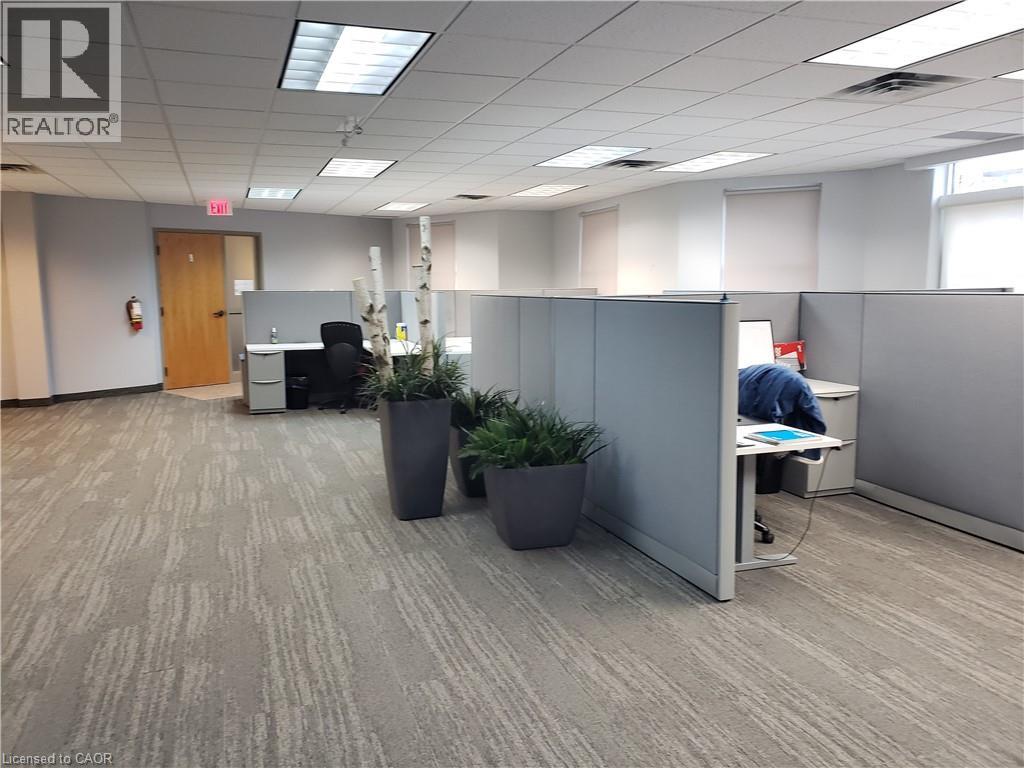 209 Frederick Street Unit# 3b, Kitchener, Ontario  N2H 2M7 - Photo 9 - 40549132