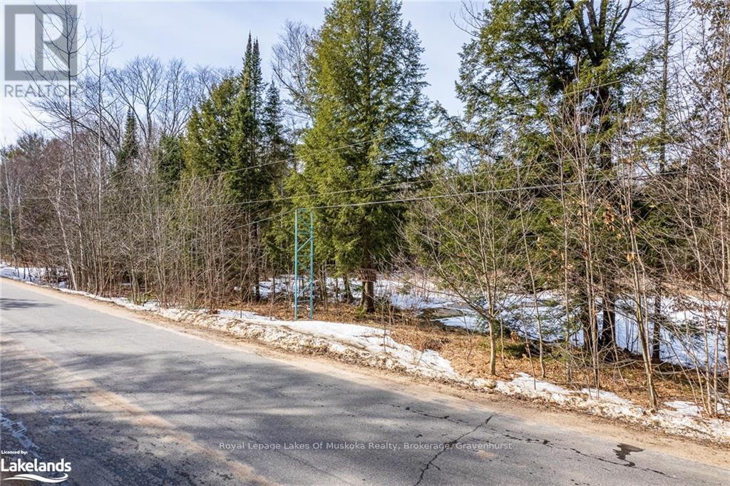 Part Lot 4, Muskoka Lakes, Ontario  P0B 1M0 - Photo 3 - X10436402