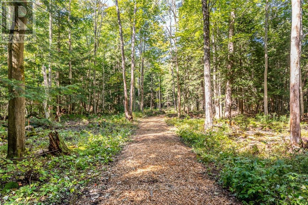 Lot 7 Final Plan 3m 268, Saugeen Shores, Ontario  N0H 2C6 - Photo 6 - X10846737