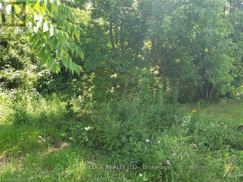 Pl 28 Concession 12, Arran-Elderslie, Ontario  N0H 1L0 - Photo 5 - X10850806