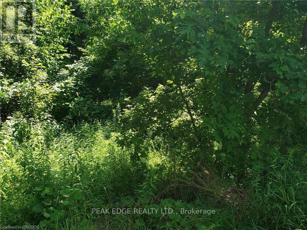 Pl 28 Concession 12, Arran-Elderslie, Ontario  N0H 1L0 - Photo 7 - X10850806
