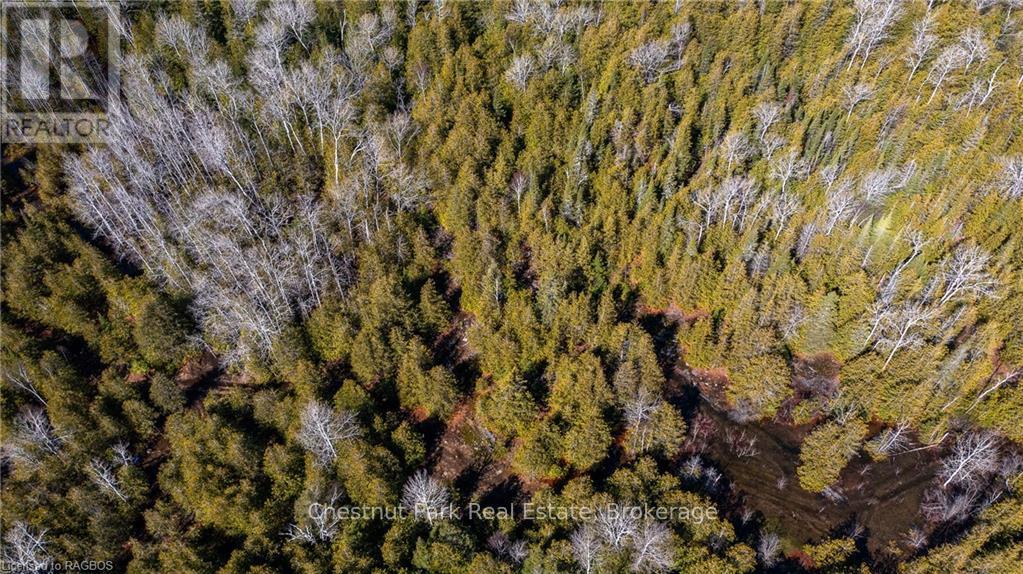4693 Highway 6, Northern Bruce Peninsula, Ontario  N0H 1Z0 - Photo 11 - X10850730