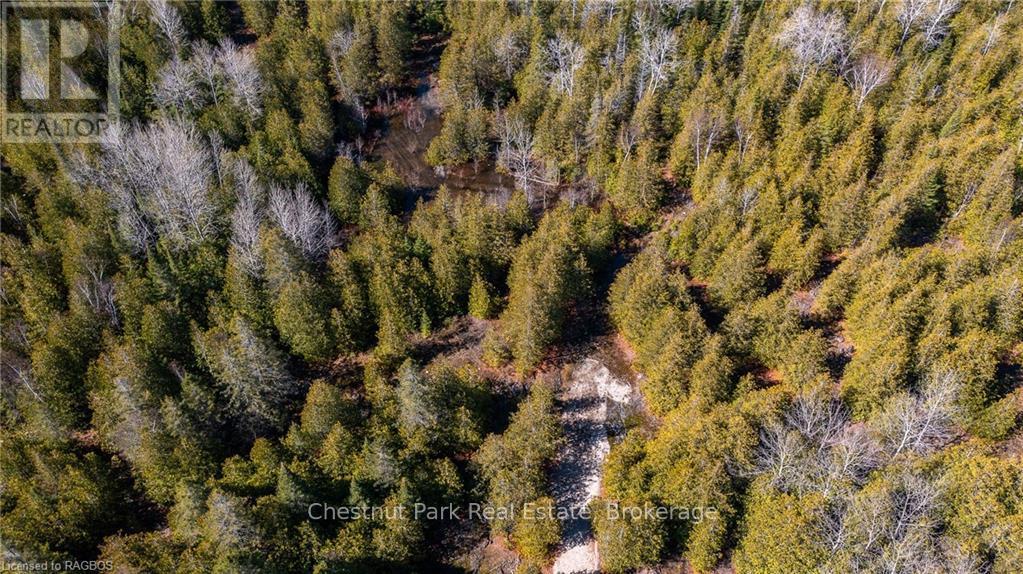 4693 Highway 6, Northern Bruce Peninsula, Ontario  N0H 1Z0 - Photo 14 - X10850730