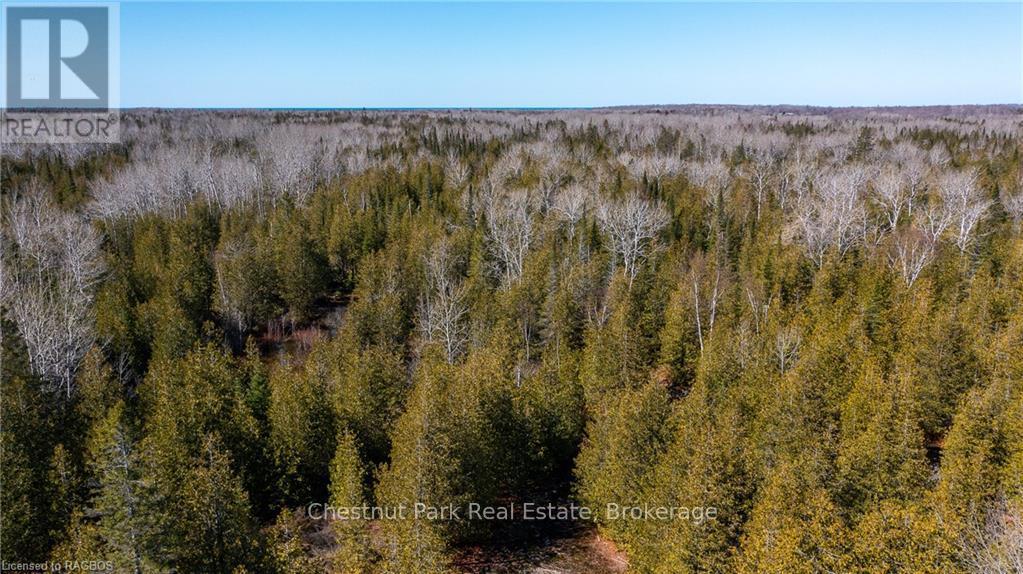 4693 Highway 6, Northern Bruce Peninsula, Ontario  N0H 1Z0 - Photo 17 - X10850730