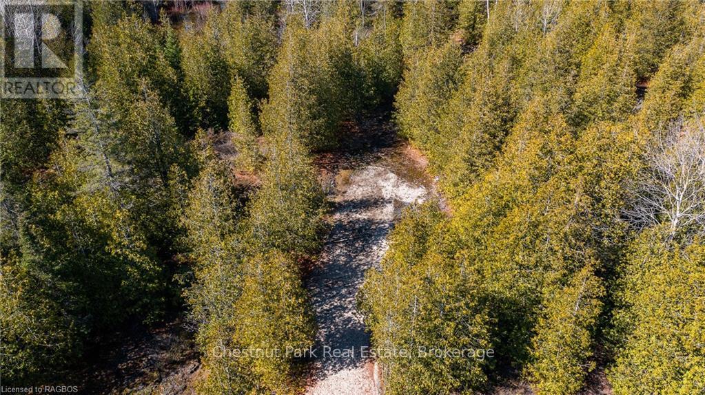 4693 Highway 6, Northern Bruce Peninsula, Ontario  N0H 1Z0 - Photo 18 - X10850730