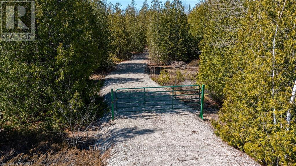 4693 Highway 6, Northern Bruce Peninsula, Ontario  N0H 1Z0 - Photo 19 - X10850730