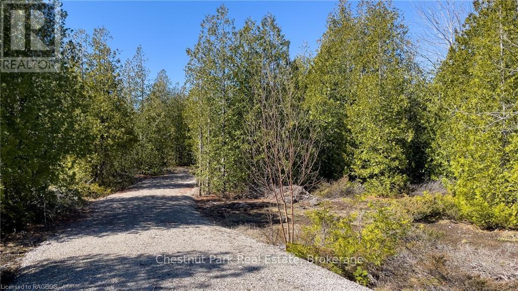 4693 Highway 6, Northern Bruce Peninsula, Ontario  N0H 1Z0 - Photo 22 - X10850730