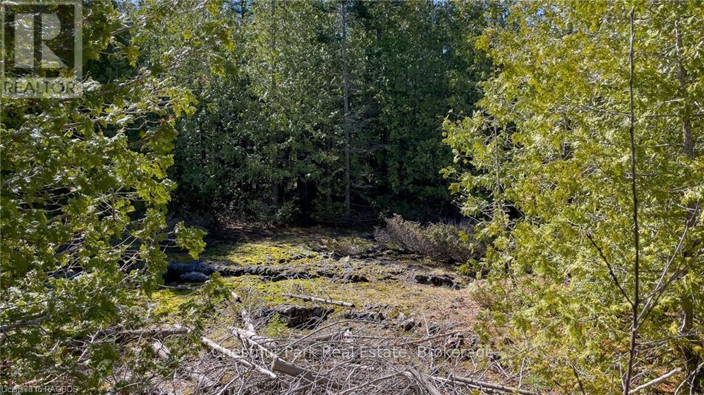 4693 Highway 6, Northern Bruce Peninsula, Ontario  N0H 1Z0 - Photo 23 - X10850730