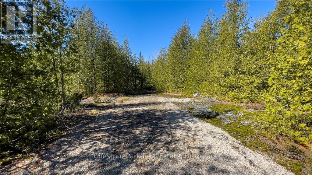 4693 Highway 6, Northern Bruce Peninsula, Ontario  N0H 1Z0 - Photo 24 - X10850730
