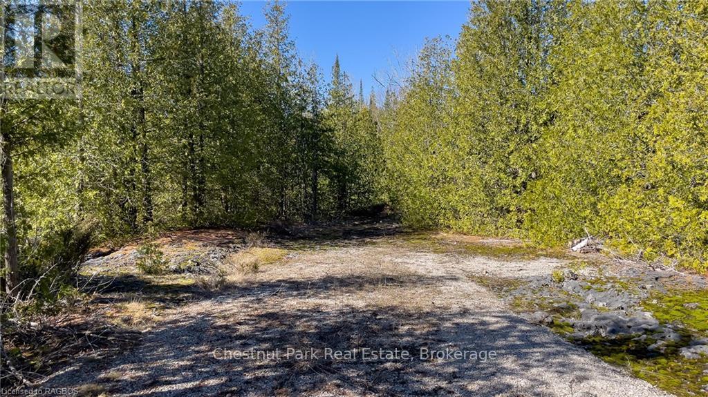 4693 Highway 6, Northern Bruce Peninsula, Ontario  N0H 1Z0 - Photo 25 - X10850730