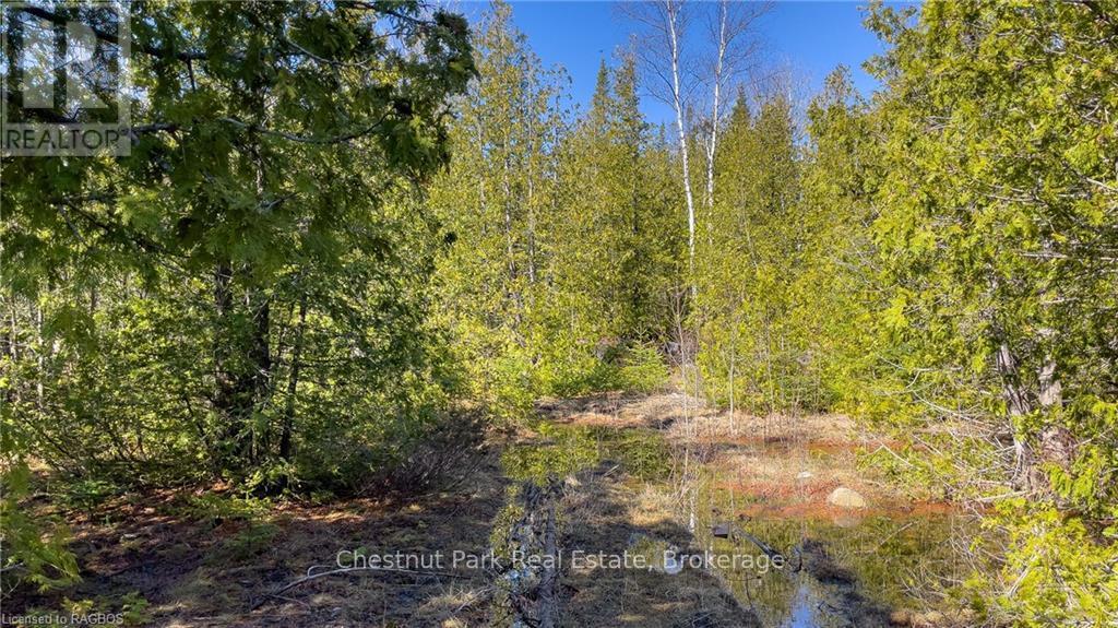 4693 Highway 6, Northern Bruce Peninsula, Ontario  N0H 1Z0 - Photo 27 - X10850730