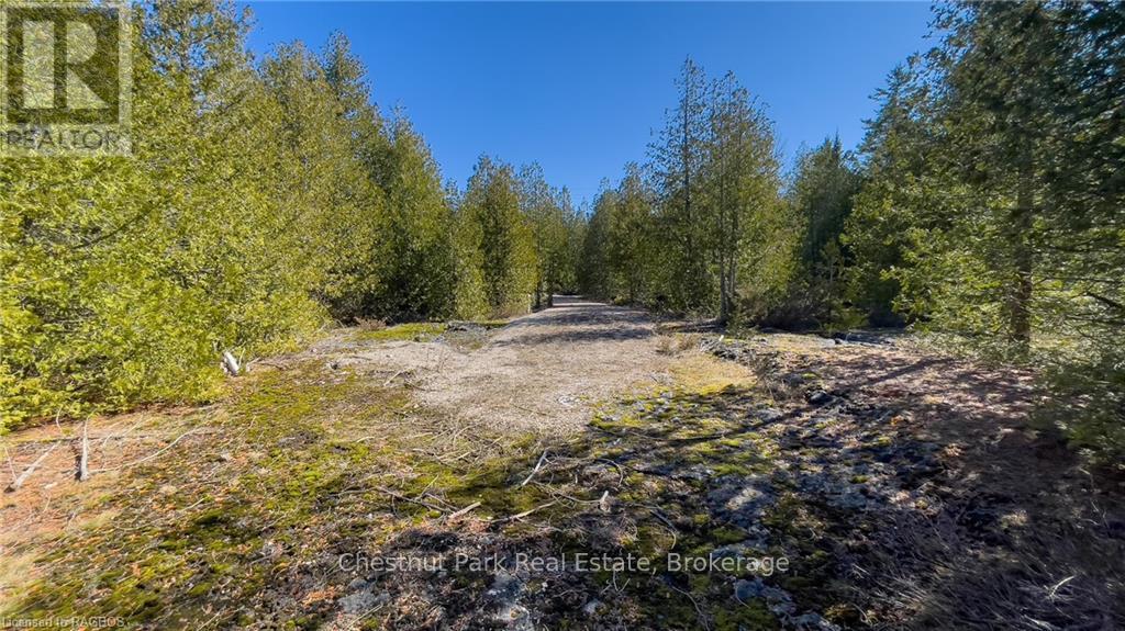 4693 Highway 6, Northern Bruce Peninsula, Ontario  N0H 1Z0 - Photo 28 - X10850730