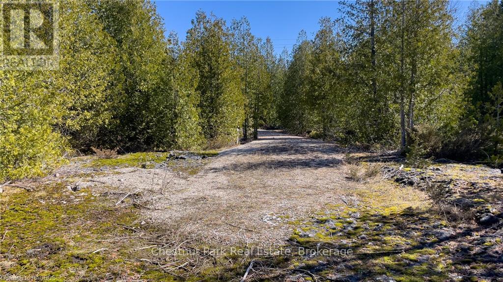 4693 Highway 6, Northern Bruce Peninsula, Ontario  N0H 1Z0 - Photo 29 - X10850730