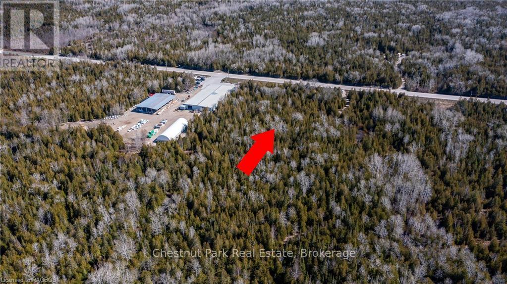 4693 Highway 6, Northern Bruce Peninsula, Ontario  N0H 1Z0 - Photo 6 - X10850730