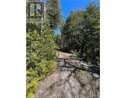LOT 32 HIGHWAY 6, South Bruce Peninsula, Ontario