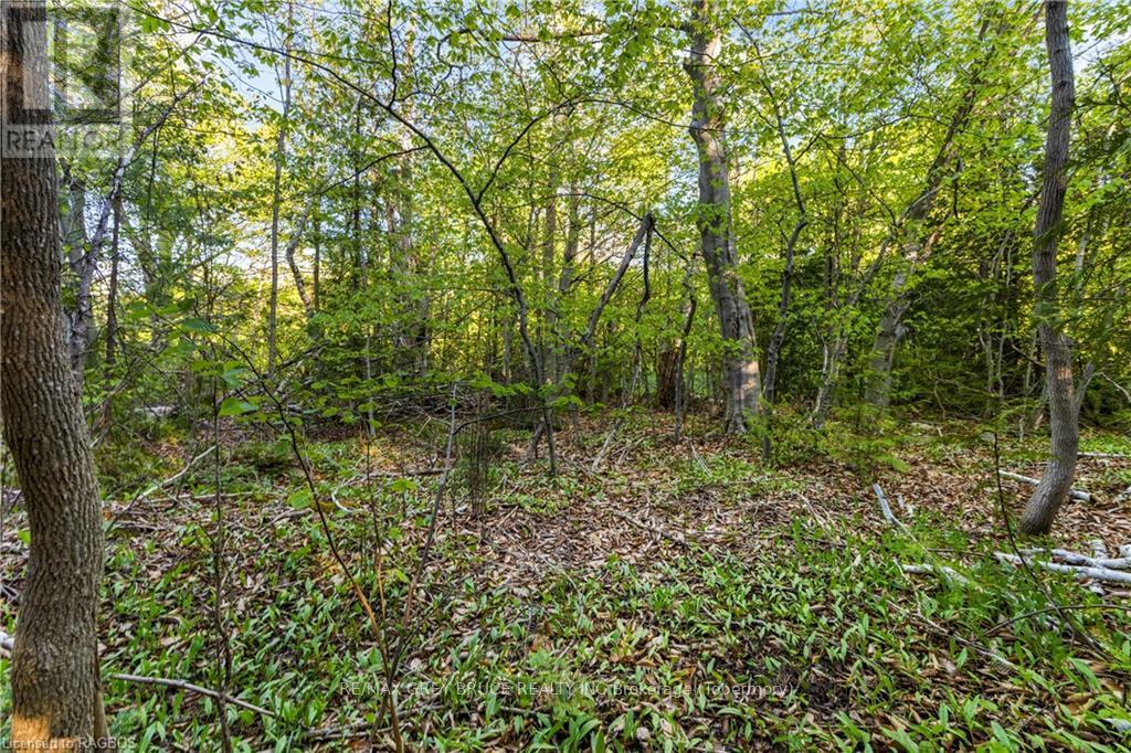 71 Maple Drive, Northern Bruce Peninsula, Ontario  N0H 1Z0 - Photo 20 - X10848731
