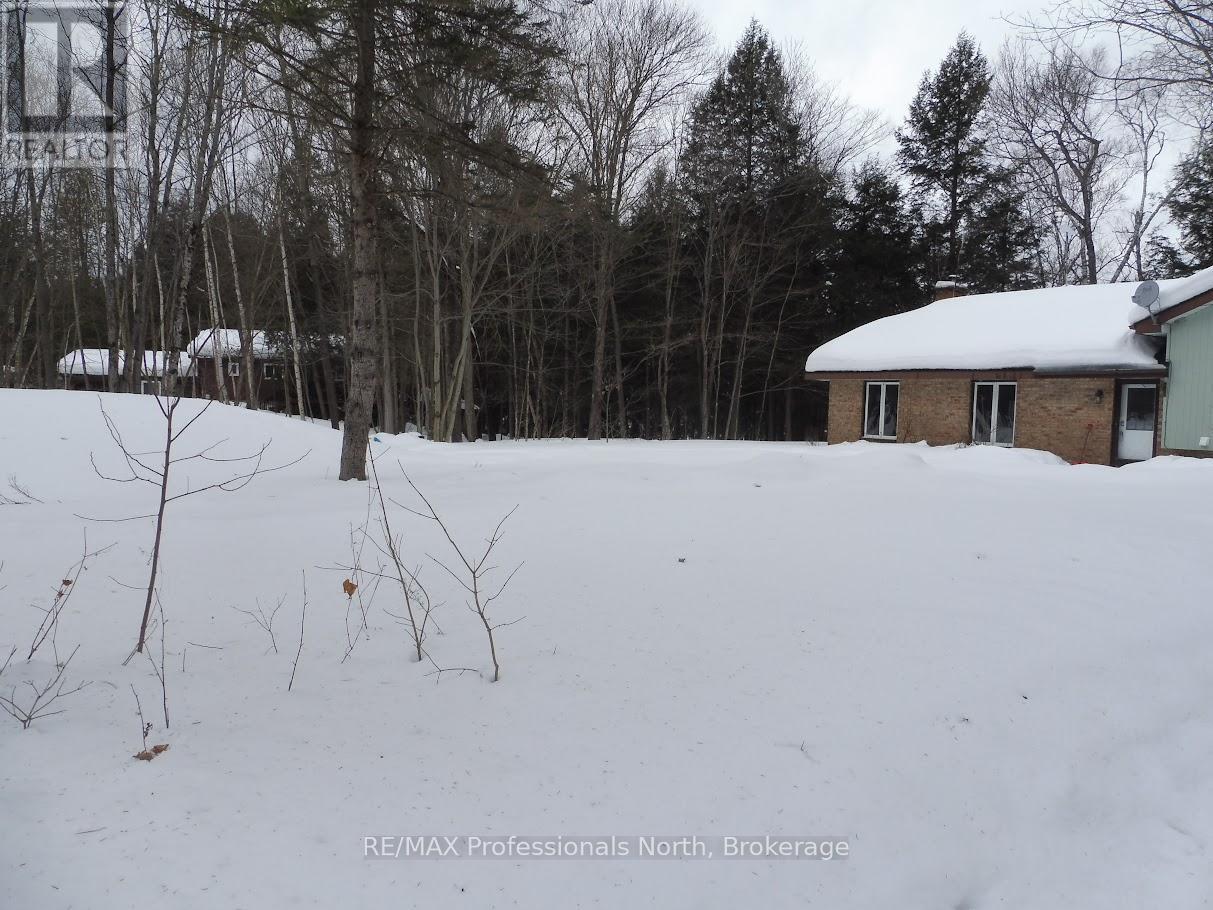 1001 Hemlock Road, Lake Of Bays, Ontario  P1H 2J6 - Photo 46 - X10437845