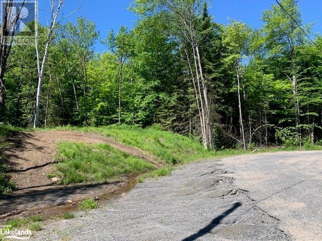 60 Summer Leigh Trail, Huntsville, Ontario  P0B 1M0 - Photo 10 - X10897552