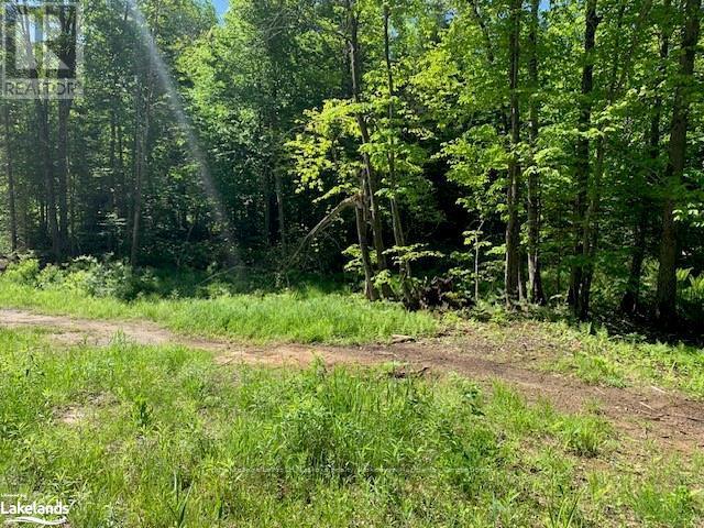60 Summer Leigh Trail, Huntsville, Ontario  P0B 1M0 - Photo 12 - X10897552