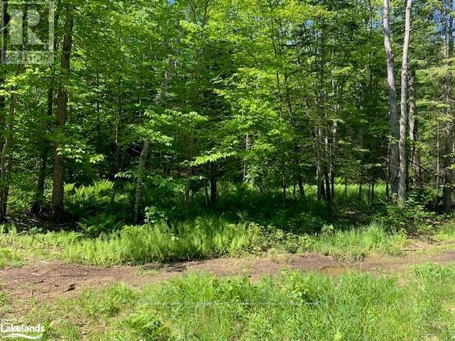 60 Summer Leigh Trail, Huntsville, Ontario  P0B 1M0 - Photo 13 - X10897552