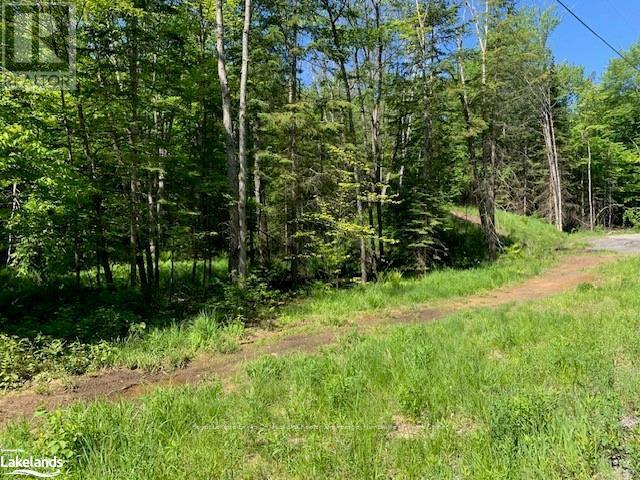 60 Summer Leigh Trail, Huntsville, Ontario  P0B 1M0 - Photo 14 - X10897552