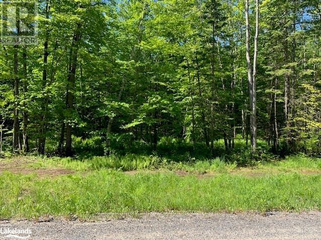60 Summer Leigh Trail, Huntsville, Ontario  P0B 1M0 - Photo 2 - X10897552