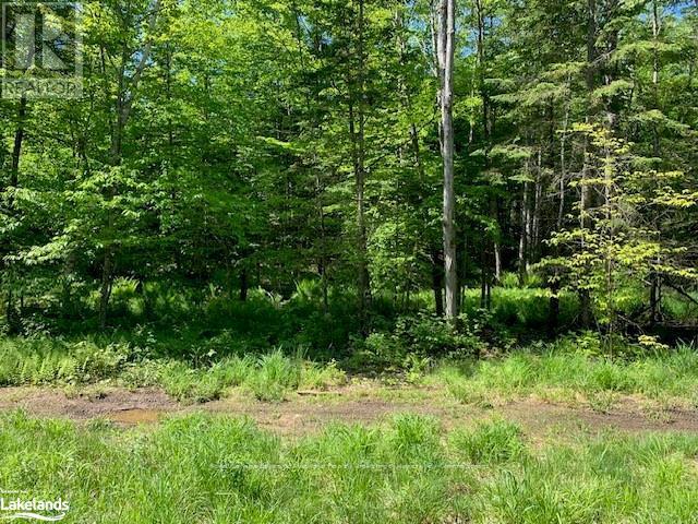 60 Summer Leigh Trail, Huntsville, Ontario  P0B 1M0 - Photo 4 - X10897552