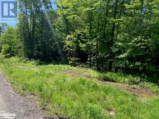 60 Summer Leigh Trail, Huntsville, Ontario  P0B 1M0 - Photo 6 - X10897552