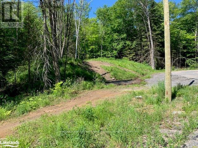 60 Summer Leigh Trail, Huntsville, Ontario  P0B 1M0 - Photo 8 - X10897552