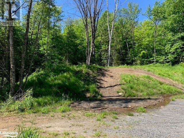 60 Summer Leigh Trail, Huntsville, Ontario  P0B 1M0 - Photo 9 - X10897552